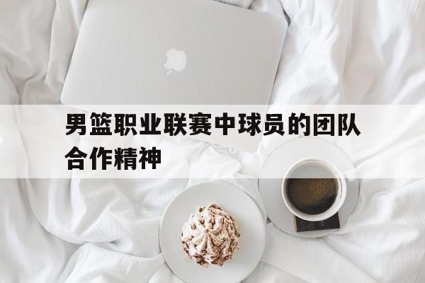 男篮职业联赛中球员的团队合作精神